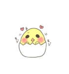 ぴよたま（個別スタンプ：8）