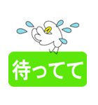 絶対使う会話スタンプ（個別スタンプ：20）