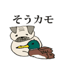 パグおじさん（個別スタンプ：35）