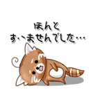 レッサーパンダ（個別スタンプ：8）