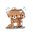 レッサーパンダ（個別スタンプ：16）