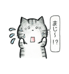 猫ねこいっぱい2（個別スタンプ：38）