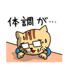 働く敬語ネコ（個別スタンプ：31）