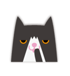 Cats！！（個別スタンプ：1）