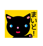 BLACK CAT in 関西（個別スタンプ：1）