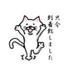 白いにゃんこと何となく丁寧な言葉遣い（個別スタンプ：13）
