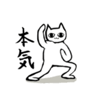 今日も闘う！ねこ師匠（個別スタンプ：1）