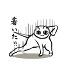 今日も闘う！ねこ師匠（個別スタンプ：10）