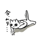 今日も闘う！ねこ師匠（個別スタンプ：12）