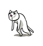 今日も闘う！ねこ師匠（個別スタンプ：20）