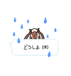 ネコとふきだし（個別スタンプ：31）