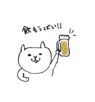 ムキネコ（博多弁バージョン）（個別スタンプ：2）