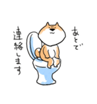 しば助さんとみけ吉さん（個別スタンプ：24）