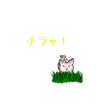 猫又の又座（個別スタンプ：12）