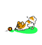ぱぴよん。（個別スタンプ：7）