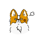 ぱぴよん。（個別スタンプ：11）