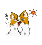 ぱぴよん。（個別スタンプ：25）