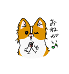 ぱぴよん。（個別スタンプ：31）