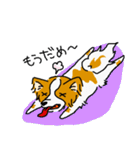 ぱぴよん。（個別スタンプ：35）