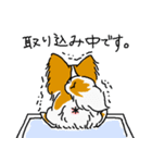 ぱぴよん。（個別スタンプ：39）