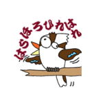 ハッピークッカバラ 2（個別スタンプ：8）
