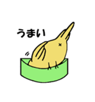 小鳥で会話（個別スタンプ：8）