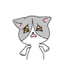 オレンジとハチワレ（個別スタンプ：22）