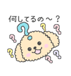 トイプーベビちゃん（個別スタンプ：13）