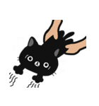 ゴマねこ（個別スタンプ：15）