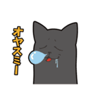 オールねこ（個別スタンプ：25）