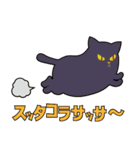 オールねこ（個別スタンプ：36）