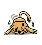 犬、犬、犬。（個別スタンプ：28）