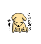 犬で日常会話（個別スタンプ：13）