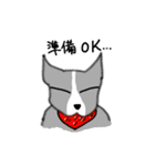 犬で日常会話（個別スタンプ：21）