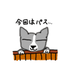 犬で日常会話（個別スタンプ：23）