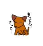 犬で日常会話（個別スタンプ：35）
