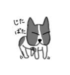 犬で日常会話（個別スタンプ：37）