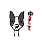 好き好き犬（個別スタンプ：19）