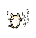 生意気ポメウサギ（個別スタンプ：15）