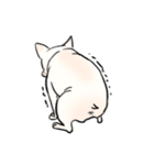 ブヒわんこ（個別スタンプ：4）