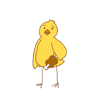 ネコパンダひよこトマト2（個別スタンプ：17）