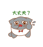 ネコパンダひよこトマト2（個別スタンプ：20）