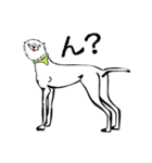 江戸っ仔犬 白玉（個別スタンプ：21）