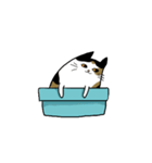 Meow Box（個別スタンプ：21）