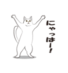 ふくねこまみれ（個別スタンプ：1）