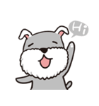 schnauzer's daily life（個別スタンプ：1）
