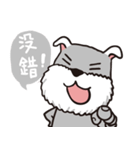 schnauzer's daily life（個別スタンプ：16）