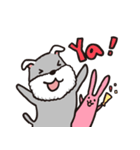 schnauzer's daily life（個別スタンプ：21）