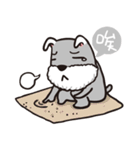 schnauzer's daily life（個別スタンプ：23）