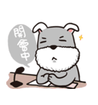 schnauzer's daily life（個別スタンプ：28）